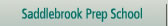 Saddlebrook Preparatory School