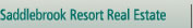 Saddlebrook Resort Real Estate