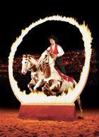 Dixie Stampede Package