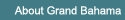 About Grand Bahama Island