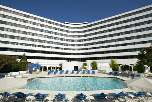 WP_Pool_image.jpg